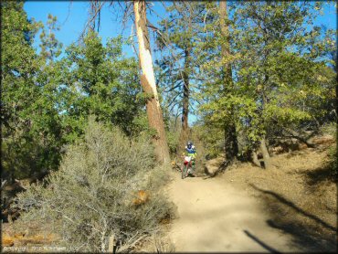 Honda CRF Dirt Bike at Lake Arrowhead Trail