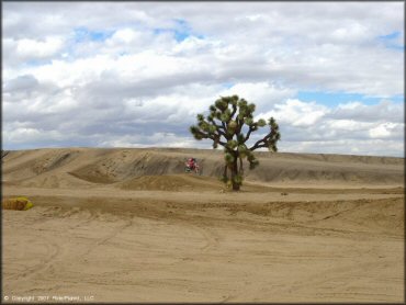 Honda CRF Motorcycle at Adelanto Motorplex Track