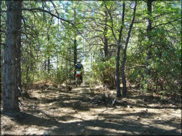 Honda CRF Off-Road Bike at Interface Recreation Trails