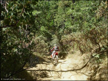 Honda CRF Motorcycle at Miami Creek OHV Area Trail