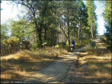 Honda CRF Motorbike at Miami Creek OHV Area Trail