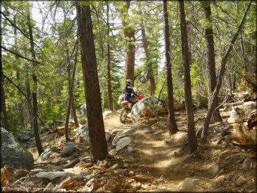 Honda CRF Motorbike at Corral OHV Trail