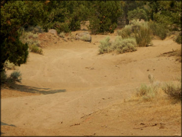 Juniper Flats OHV Area Trail