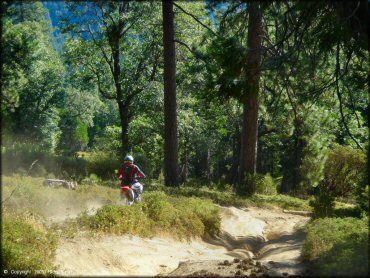 Honda CRF Motorcycle at Miami Creek OHV Area Trail