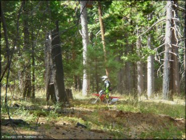 Honda CRF Motorcycle at Elkins Flat OHV Routes Trail