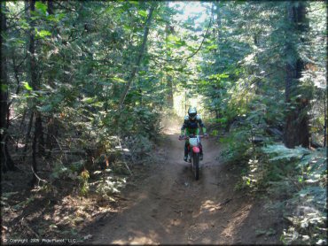 Honda CRF Dirt Bike at Interface Recreation Trails