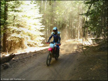 Honda CRF Motorcycle at Gold Note Trails