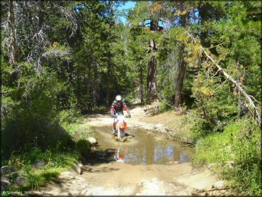 Honda CRF Motorcycle traversing the water at Lower Blue Lake Trail