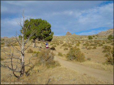 Honda CRF Dirt Bike at Fort Sage OHV Area Trail