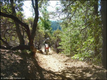 Honda CRF Motorcycle at Interface Recreation Trails