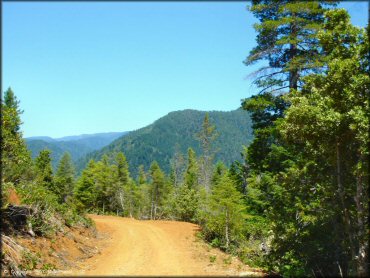 Scenery from Rattlesnake Ridge Area Trail