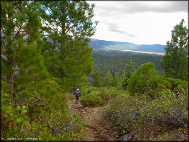 Honda CRF Trail Bike at Prosser Hill OHV Area Trail