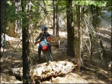 Honda CRF Motorcycle at Corral OHV Trail