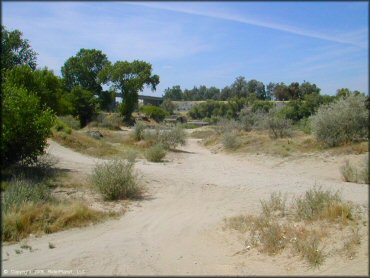 Terrain example at Shad Pad OHV Area