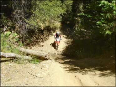 Honda CRF Motorbike crossing the water at Miami Creek OHV Area Trail