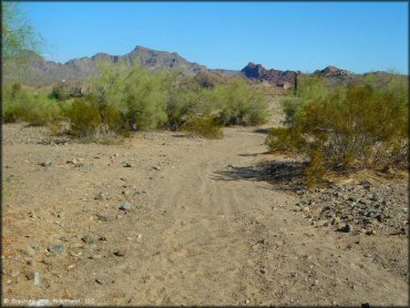 Example of terrain at Copper Basin Dunes OHV Area