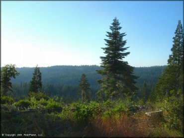 Scenery from Black Springs OHV Network Trail