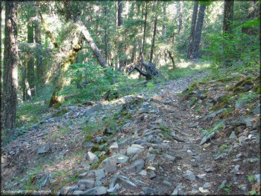 A rocky section at Pilot Creek OHV Trails