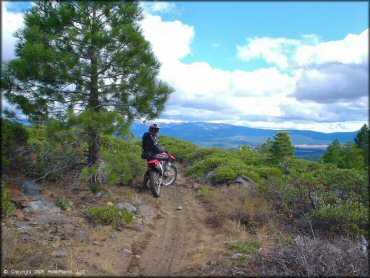 Honda CRF Motorbike at Prosser Hill OHV Area Trail