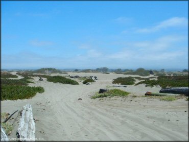 A trail at Samoa Sand Dunes OHV Area