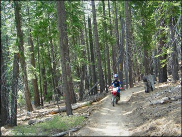 Honda CRF Dirtbike at Corral OHV Trail