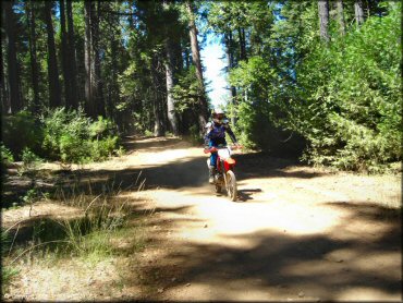 Honda CRF Motorcycle at Gold Note Trails