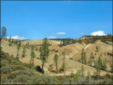 Scenery at Clear Creek Management Area Trail