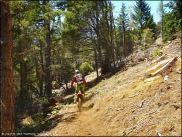 Honda CRF Motorbike at High Dome Trail