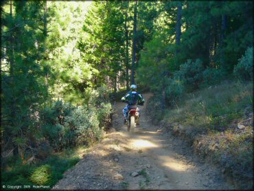 Honda CRF Dirt Bike at Interface Recreation Trails