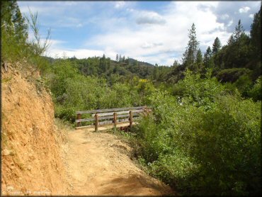 A trail at Chappie-Shasta OHV Area Trail