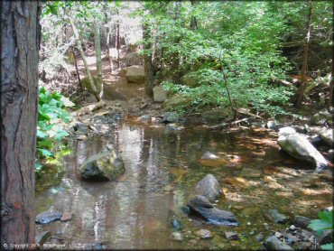 Elkins Flat OHV Routes Trail