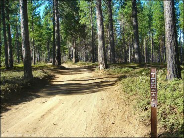 Terrain example at Interface Recreation Trails