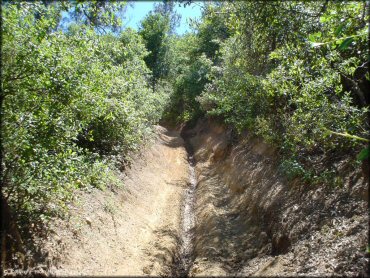 South Cow Mountain Trail