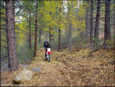 Honda CRF Dirtbike at Prosser Hill OHV Area Trail