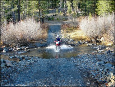 Honda CRF Off-Road Bike in the water at Jackson Meadows Trail