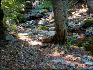 Humbug OHV Area Trail