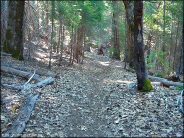 Pilot Creek OHV Trails