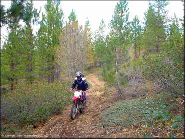 Honda CRF Dirtbike at Prosser Hill OHV Area Trail