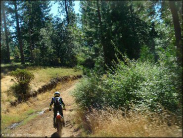 Honda CRF Motorcycle at Interface Recreation Trails