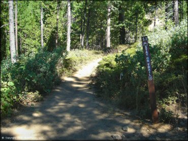 Some terrain at Interface Recreation Trails