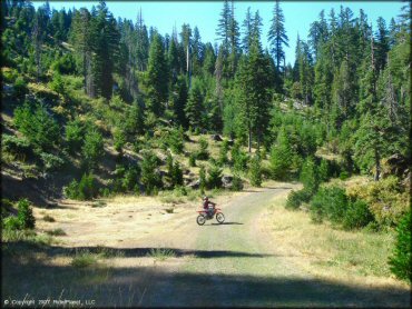 Honda CRF Off-Road Bike at Pilot Creek OHV Trails