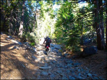 Honda CRF Motorbike at Indian Springs Trail