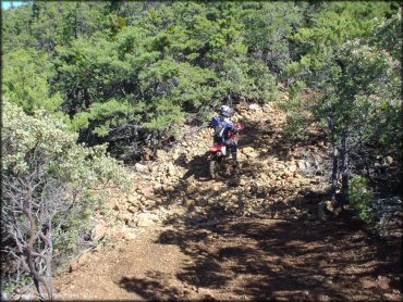 Honda CRF Motorcycle at South Cow Mountain Trail