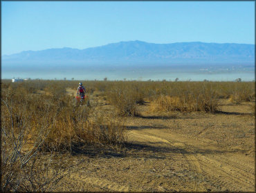 Honda TRX250 ATV riding on hardpacked desert trail.