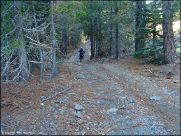 Honda CRF Trail Bike at Jackson Meadows Trail