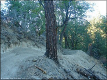 A trail at Lake Arrowhead Trail