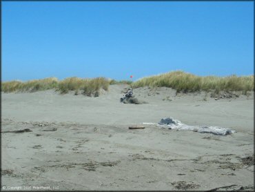 OHV at Samoa Sand Dunes OHV Area