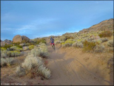 Honda CRF Dirt Bike at Fort Sage OHV Area Trail