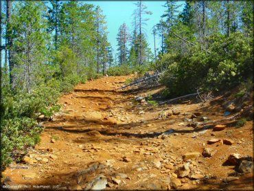 Rattlesnake Ridge Area Trail