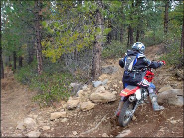 Honda CRF Motorcycle at Prosser Hill OHV Area Trail